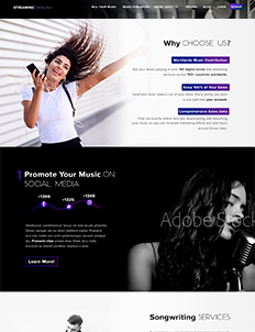 music portfolio image 18